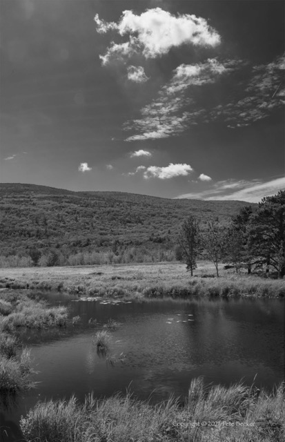 Acadia Sky